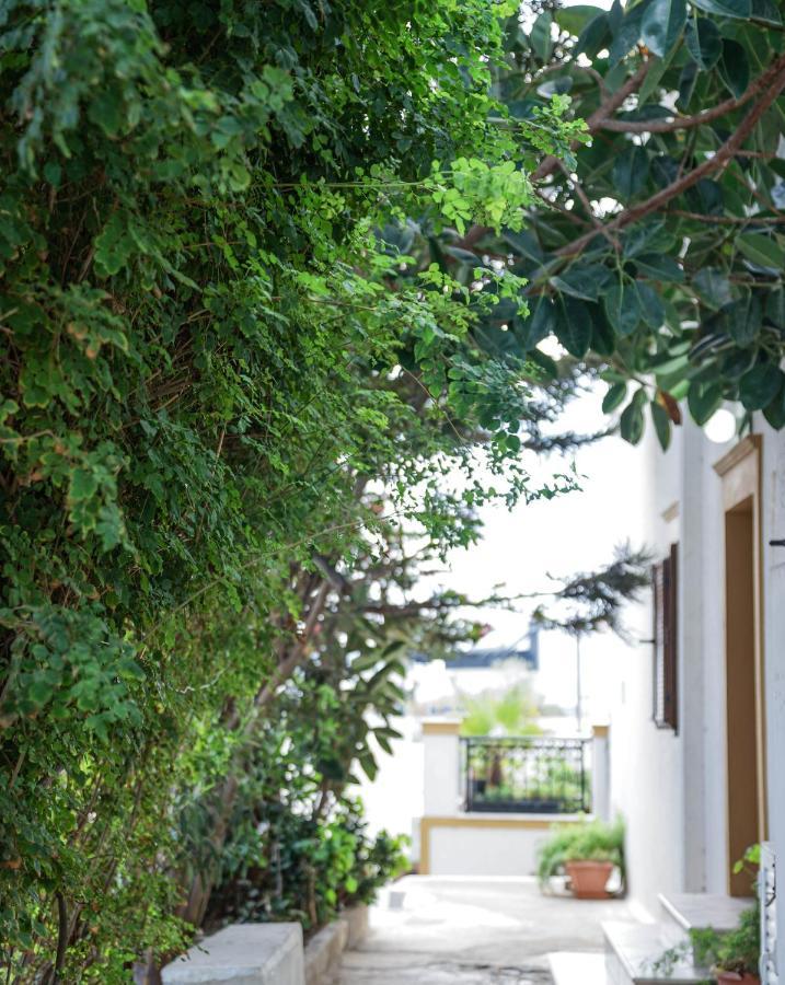 Fira Central Apartments With Veranda Rom bilde